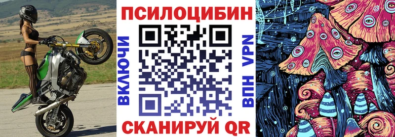 Галлюциногенные грибы Psilocybe  Белоусово 